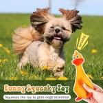 Dog Chew Toy Accessories for Small Medium Large Pet