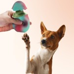 Dinosaur Egg Shape Squeaky Sound Chew Toy